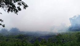 Kebakaran yang juga terjadi di Batam (dokpri)