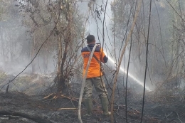Petugas BPBD Riau sedang memadamkan api di Desa Rimbo Panjang, Riau (Kompas.com/Idon)