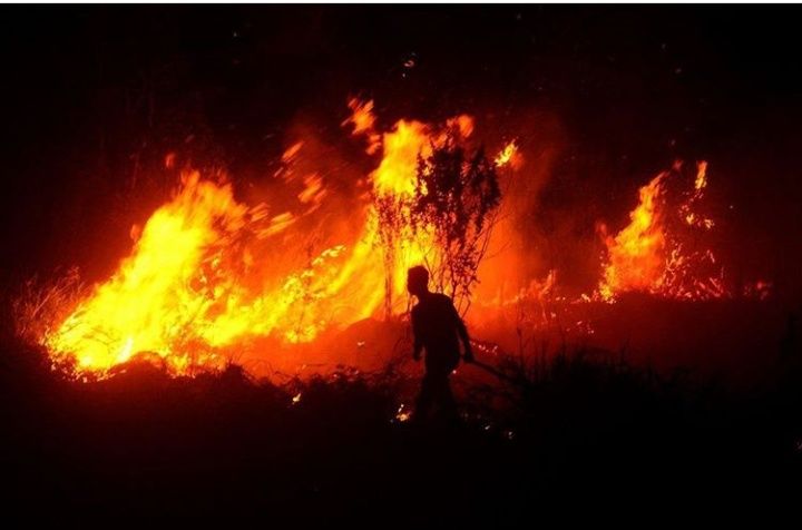 Mari Kita Lebih Dekat Melihat Perkembangan Kondisi di Riau Mari Kita Lebih Dekat Melihat Perkembangan Kondisi di Riau
