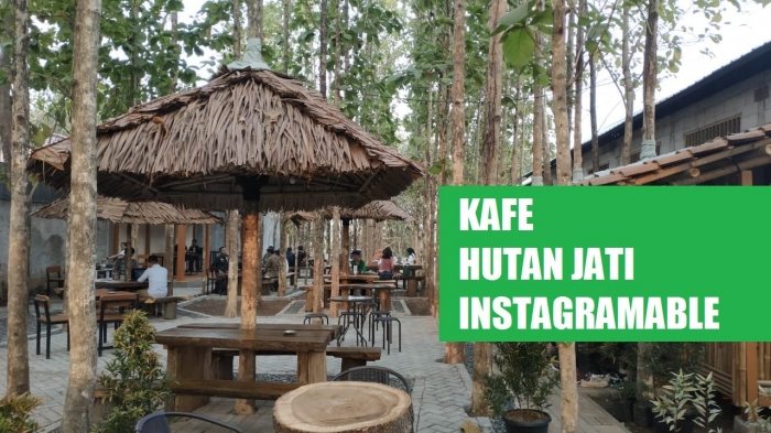 Kebun jati disulap jadi Kafe Instagramable / dok.pribadi