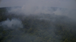 Ini adalah Kabut asap yang ditimbulkan oleh api dari kebakaran hutan dan lahan (karhutla). Foto dok : Yayasan Palung