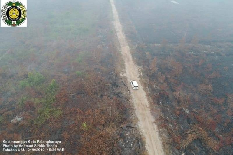 Lahan gambut terbakar di Kalampangan Kota Palangkaraya Kalteng (dok. USU 21 Sept 2019)
