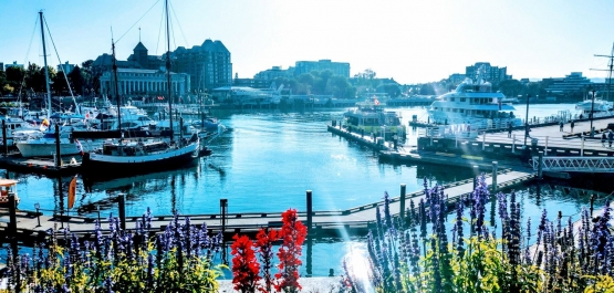 Victoria Harbour Kanada. Dokpri