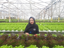 Green house di PT Momenta Agricultura (Lembang, Bandung) sebagai salah satu contoh pengaplikasian pertanian hidroponik (dok.pribadi, 2019)