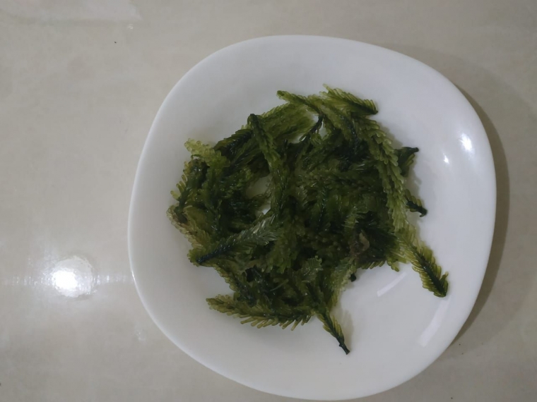 Tidak Hanya Jepang Dan Korea Bali Juga Punya Kuliner Berbahan Rumput Laut Halaman All Kompasiana Com