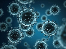 Virua Influenza (news.gsu.edu))