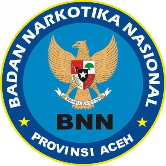 Logo BNNP Aceh