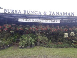 Tempat penjualan bibit bunga di Taman Bunga Nusantara. Photo by Ari