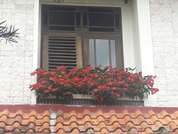 Pinggir depan jendela di gedung utama Taman Bunga Nusantara. Photo by Ari