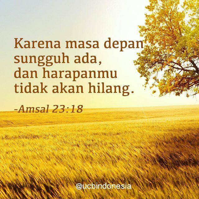 Mengenang Suatu Hari Di Gili Trawangan Antara Pasir Putih Dan