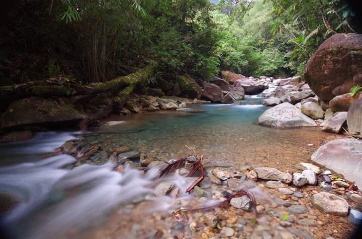 Sungai Hutan Hujan Simempar (Sumber foto: halaman resmi FB Wisata Alam Pohon Damai, Simempar) 