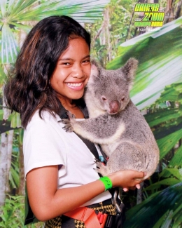 Nelie ,Koala cantik di Cairns Zoo