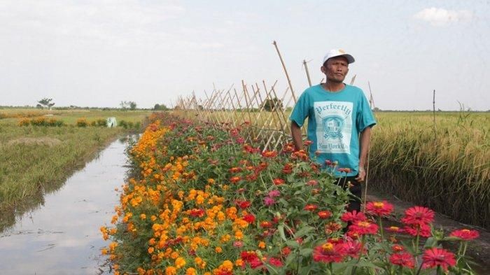 Masyarakat Berfoto di Tengah Sawah (Banjarmasin Post)