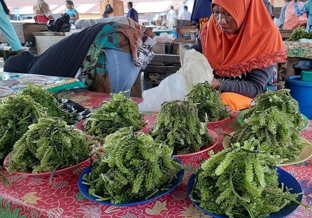 mamak penjual anggur laut di pasar Langgur (dok.pribadi/yayat)