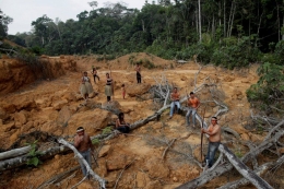Suku asli ratapi hutan yang dirusak perusahaan-Reuters