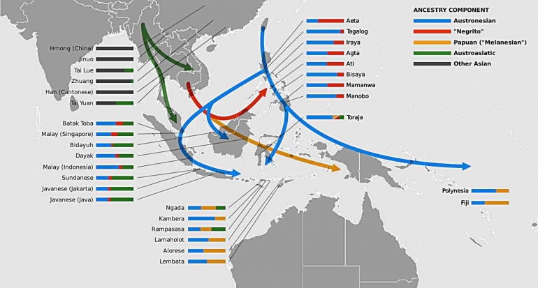 Proporsi genom penutur Austronesia di Indonesia. Sumber: Mark Lipson et.al. (2014)