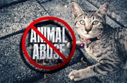 Ilustrasi Animal Abuse/greeners.com