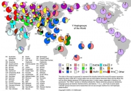 Diagram persentase DNA yang dimiliki berbagai etnis dan Suku Bangsa di Dunia. Sumber:qph.fs.quoracdn.net