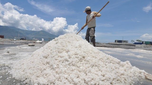 Foto petani garam Indonesia | Gambar: Antara Foto/Hamzah