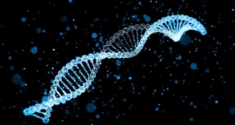 Ilustrasi model fragmen DNA (irishtimes.com).