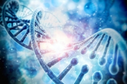 DNA(digitalgenetics via Kompas.com)