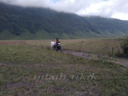 Pencari rumput dari Ngadisari, Probolinggo. Dokumen pribadi