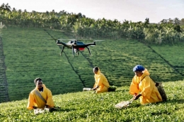 Para petani di Ghana memanfaatkan drone untuk mengelola tanaman mereka (doc.ThePeninsulaQatar/ed.Wahyuni)