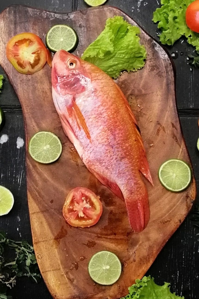 Ikan salah satu pemicu alergi foto :Dokpri