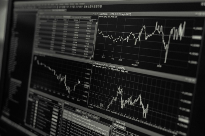 Ilustrasi monitoring investasi saham. (Sumber: pixabay)