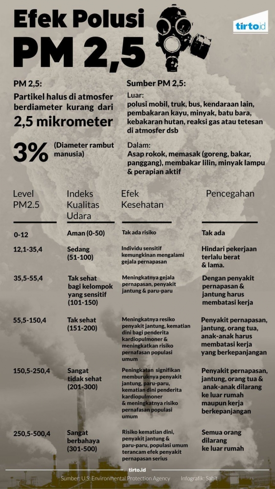 Indeks kualitas udara dengan kandungan PM 2,5 yang aman | Sumber gambar : tirto.id
