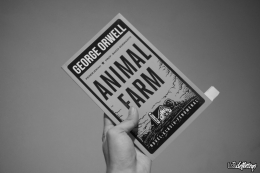 Animal Farm by George Orwell (Bentang Pustaka: Mizan Group)/ dethazyo