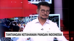 cnnindonesia.com