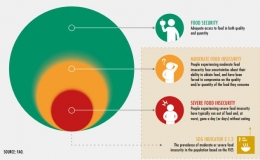 Tingkat ketidakamanan pangan Sumber:http://www.fao.org/ 