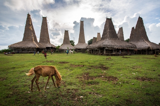 Pesona Sumba Barat Daya. Sumber: Jeffrey Sukardi