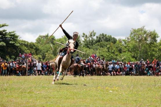 Festival Pasola. Sumber: Jeffrey Sukardi