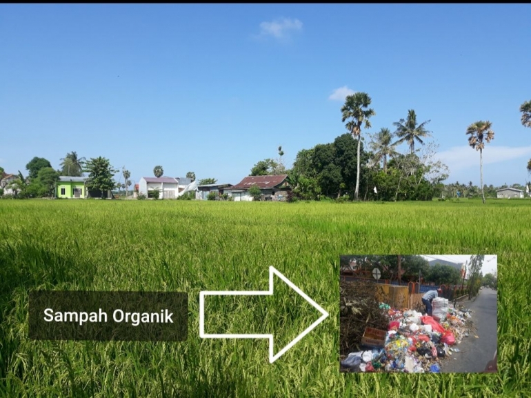 Ilustrasi: Berdayakan sampah untuk mendukung pertanian organik Indonesia. Sumber: Dokpri