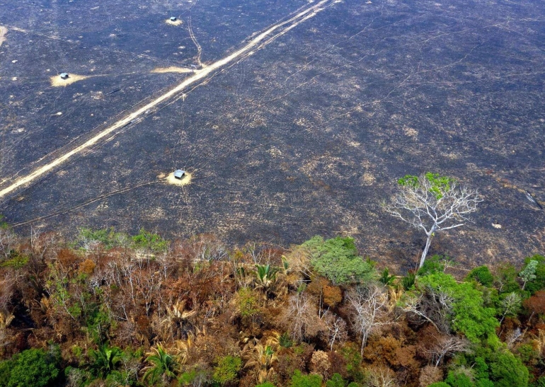 Dalam foto bertanggal 23 Agustus ini tampak hutan hujan Amazon di Negara Bagian Rondonina, Brasil, terbakar hebat. (AFP) 