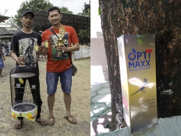 Gak cuma gue,kalian juga bisa jadi Juara!!! | optimaxx-untuk-burung-ngekek-dan-menang-gantangan-review-optimaxx