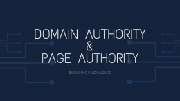 Domain Authority dan Page Authority|dokpri