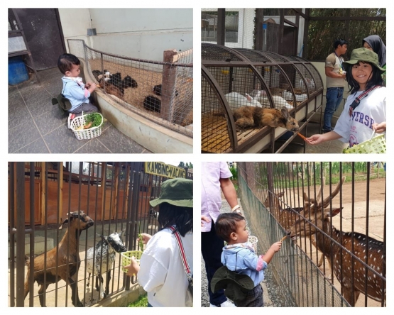 Memberi makan hewan peliharaan. Anak-anak belajar mengenal dan mencintai binatang dengan memberinya makan (Foto : Dok. Pribadi)