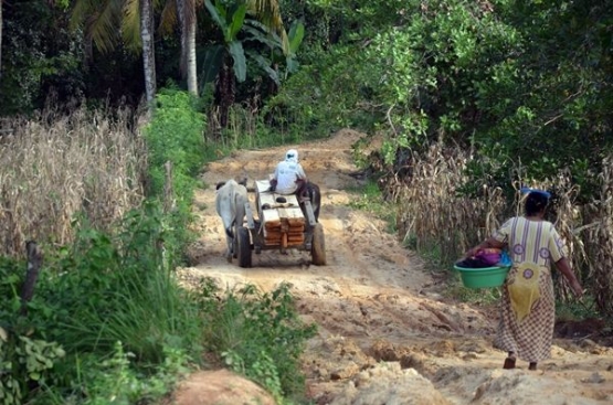 Kemiskinan menyumbang rusaknya sumberdaya alam seperti hutan, mengambil kayu dari kawasan hutan untuk dipakai sendiri dan atau dijual untuk mendapatkan uang tunai (Doc. Marahalim Siagian)