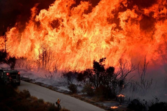 Kebakaran hutan di California, Amerika Serikat. Internasional Kompas.com