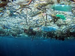 Sampah plastik mencemari laut. https://lingkunganhidup.co/