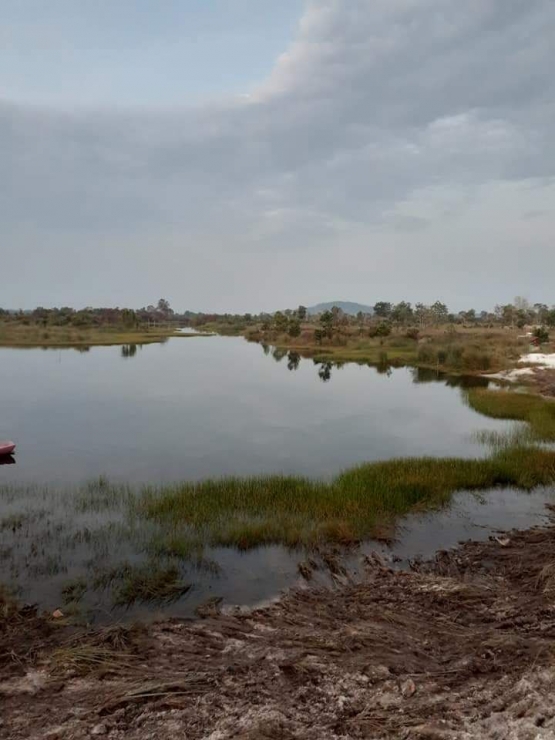 Pemandangan di Rumah Keong Belitung | dokpri