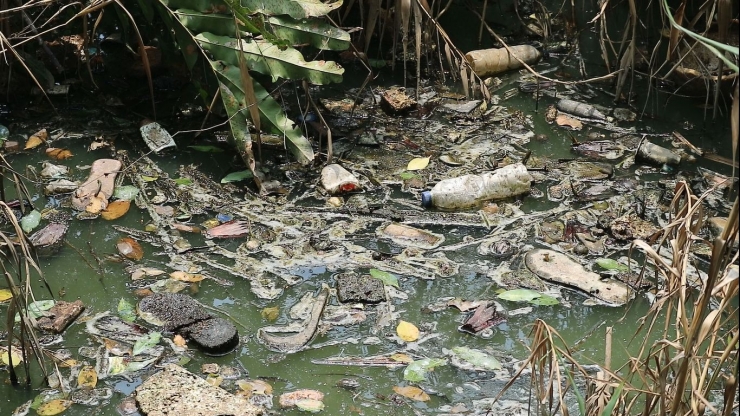 Sampah-sampah yang terbawa arus Kali Angke dan tertahan di kawasan Suaka Margasatwa Muara Angke, Jakarta Utara. Foto: Wiliam Reynold