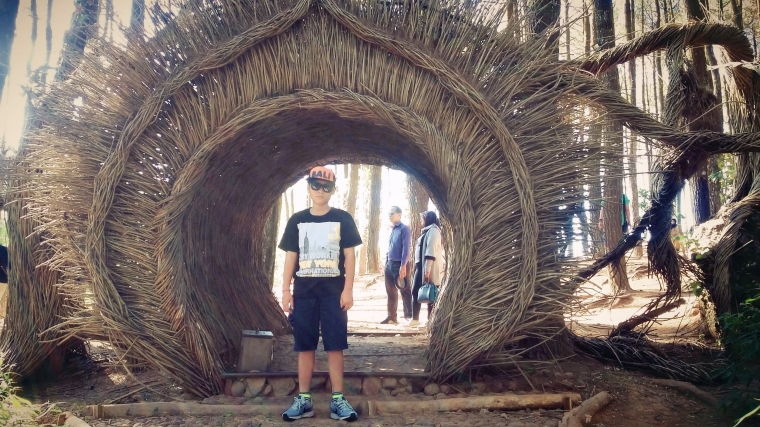 Berburu Spot Foto di Hutan Pinus Pengger Yogyakarta  Berburu Spot Foto di Hutan Pinus Pengger Yogyakarta