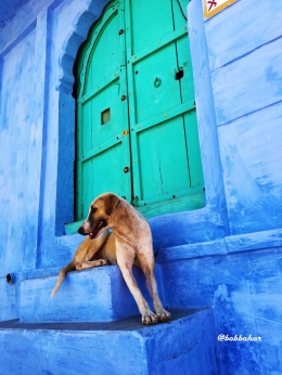 Bangunan biru dengan pintu hijau Tosca, Jodhpur | dokpri