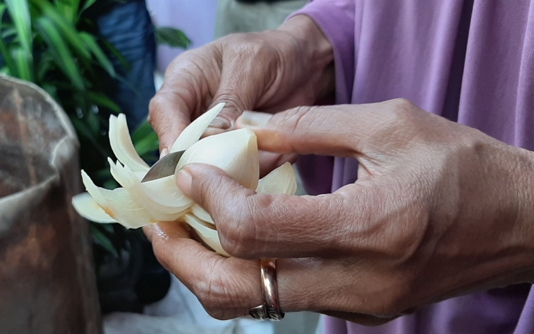 membungakan buah pala (dok.yayat)