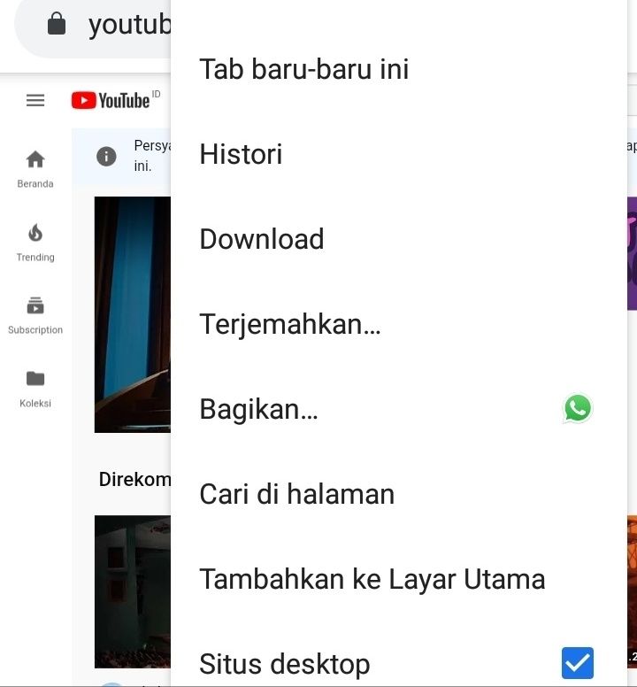 Google Chrome (Sumber: Dokumentasi pribadi)