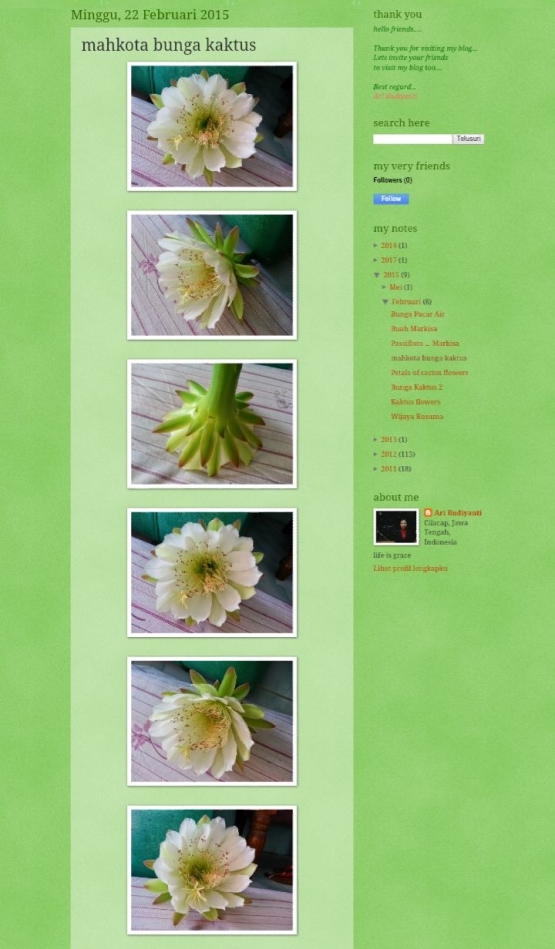Screenshot foto aneka posisi bunga kaktus. Dokumen pribadi. Photo by Ari